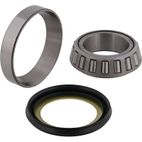 ALL BALLS Steering Bearing Kit with Seal - motoscamaralweb.com