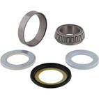 ALL BALLS Steering Bearing Kit with Seal - motoscamaralweb.com