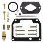 Kit reparación de carburador ALL BALLS - motoscamaralweb.com