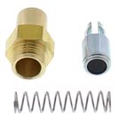 ALL BALLS Choke Plunger Kit - motoscamaralweb.com