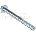 TORNILLO M8*80 DC361 (129 / 156) - motoscamaralweb.com
