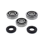 ALL BALLS Crankshaft Bearing &amp; Oil Seal Kit - motoscamaralweb.com