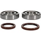 ALL BALLS Crankshaft Bearing &amp; Oil Seal Kit - motoscamaralweb.com