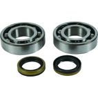 ALL BALLS Crankshaft Bearing &amp; Oil Seal Kit - motoscamaralweb.com