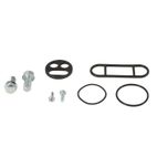 ALL BALLS Fuel Tap Repair Kit - motoscamaralweb.com