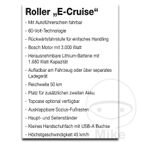 Flyer Scooter E-CRUISE Pack 20 uds | Motos Camaral