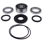 ALL BALLS Front Differential Bearing &amp; Seal Kit - motoscamaralweb.com