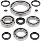 ALL BALLS Front Differential Bearing &amp; Seal Kit - motoscamaralweb.com