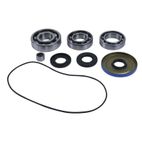 ALL BALLS Front Differential Bearing &amp; Seal Kit - motoscamaralweb.com