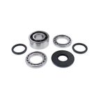 ALL BALLS Front Differential Bearing &amp; Seal Kit - motoscamaralweb.com