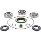 ALL BALLS Front Differential Bearing &amp; Seal Kit - motoscamaralweb.com