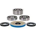 ALL BALLS Front Differential Bearing &amp; Seal Kit - motoscamaralweb.com