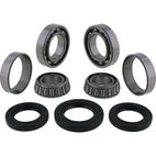 ALL BALLS Front Differential Bearing &amp; Seal Kit - motoscamaralweb.com