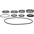 ALL BALLS Front Differential Bearing &amp; Seal Kit - motoscamaralweb.com