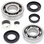 ALL BALLS Front Differential Bearing &amp; Seal Kit - motoscamaralweb.com