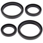 ALL BALLS Front Differential Seal Kit - motoscamaralweb.com
