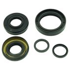 ALL BALLS Front Differential Seal Kit - motoscamaralweb.com