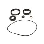 ALL BALLS Front Differential Seal Kit - motoscamaralweb.com