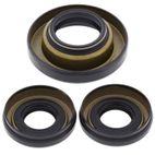 ALL BALLS Front Differential Seal Kit - motoscamaralweb.com