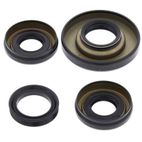 ALL BALLS Front Differential Seal Kit - motoscamaralweb.com