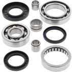 ALL BALLS Rear Differential Bearing &amp; Seal Kit - motoscamaralweb.com