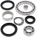 ALL BALLS Rear Differential Bearing &amp; Seal Kit - motoscamaralweb.com