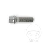 Tornillo de Rueda M14X1.5X60 Cuello de Bola R12 | Motos Camaral