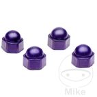 Juego de Tapas para Tornillos de Rueda 17 mm Negro | Motos Camaral