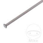 Radio de Llanta 176 mm para Motocicleta | Motos Camaral