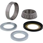 ALL BALLS Steering Bearing Kit with Seal - motoscamaralweb.com