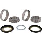 ALL BALLS Steering Shaft Bearing Kit - motoscamaralweb.com
