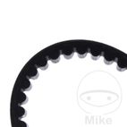 Correa de transmisión Mitsuboshi 19.5X873 | Motos Camaral
