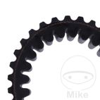 Correa de transmisión Mitsuboshi 31.7X913 | Motos Camaral