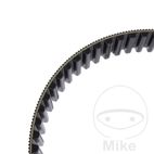 Correa Dentada 137 Dientes OEM | Recambio Original | Motos Camaral