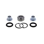 ALL BALLS Rear Independent Suspension Bearing Kit - motoscamaralweb.com