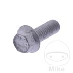 Tornillo Tapa de Válvula OEM | Recambio Original | Motos Camaral