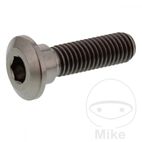 Tornillo Disco Freno JMP M8x1.25 30mm Titan | Motos Camaral
