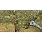 OV37-F SOLA - motoscamaralweb.com
