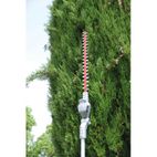 CORTASETOS ARVIPO TT37 PERTIGA ALTURA- motoscamaralweb.com