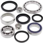 ALL BALLS Rear Differential Bearing &amp; Seal Kit - motoscamaralweb.com