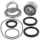 ALL BALLS Rear Differential Bearing &amp; Seal Kit - motoscamaralweb.com