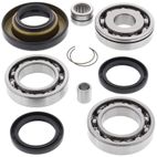 ALL BALLS Rear Differential Bearing &amp; Seal Kit - motoscamaralweb.com