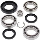 ALL BALLS Rear Differential Bearing &amp; Seal Kit - motoscamaralweb.com