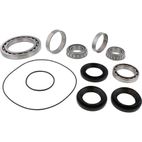 ALL BALLS Rear Differential Bearing &amp; Seal Kit - motoscamaralweb.com