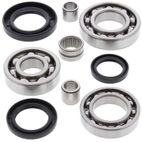 ALL BALLS Rear Differential Bearing &amp; Seal Kit - motoscamaralweb.com