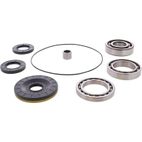 ALL BALLS Rear Differential Bearing &amp; Seal Kit - motoscamaralweb.com