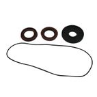 ALL BALLS Rear Differential Seal Kit - motoscamaralweb.com
