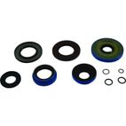 ALL BALLS Transaxle Seal Kit - motoscamaralweb.com