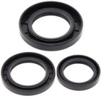 ALL BALLS Rear Differential Seal Kit - motoscamaralweb.com