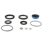 ALL BALLS Transaxle Seal Kit - motoscamaralweb.com